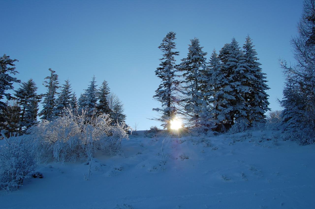 Willa Pod Kasztanami Piwniczna-Zdroj Esterno foto