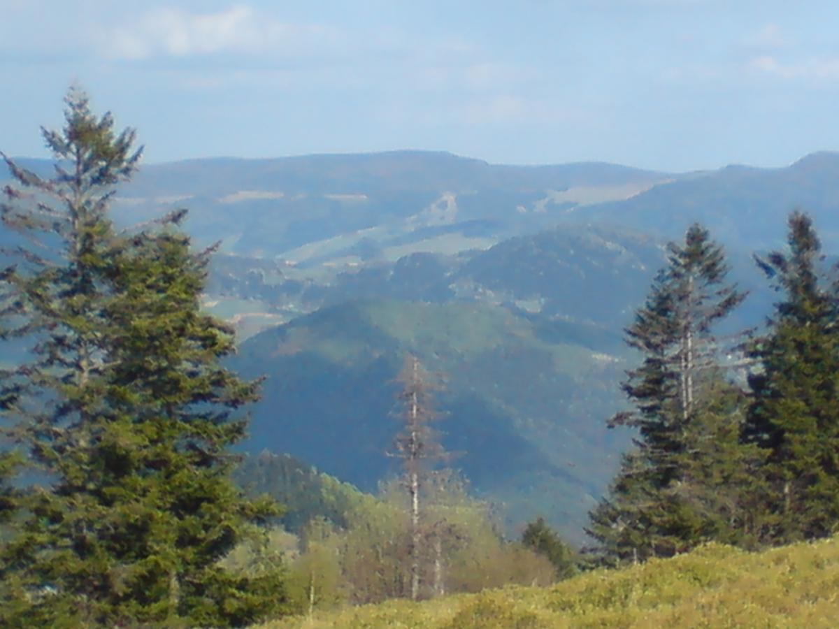 Willa Pod Kasztanami Piwniczna-Zdroj Esterno foto
