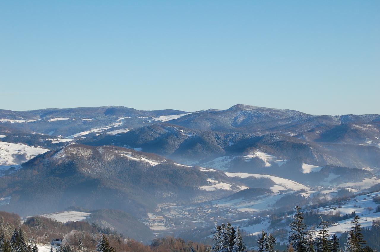 Willa Pod Kasztanami Piwniczna-Zdroj Esterno foto